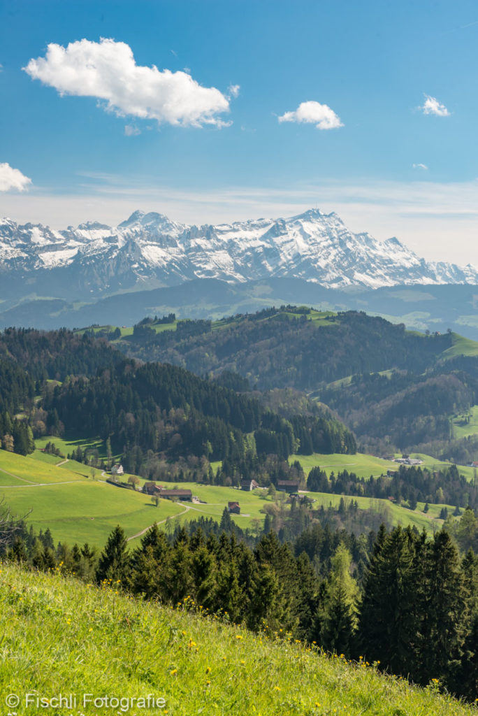 Landschaft