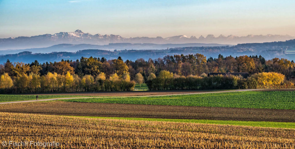 Landschaft